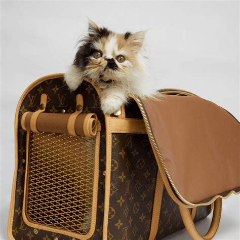 louis vuitton cat collar replica|Louis Vuitton cat carrier.